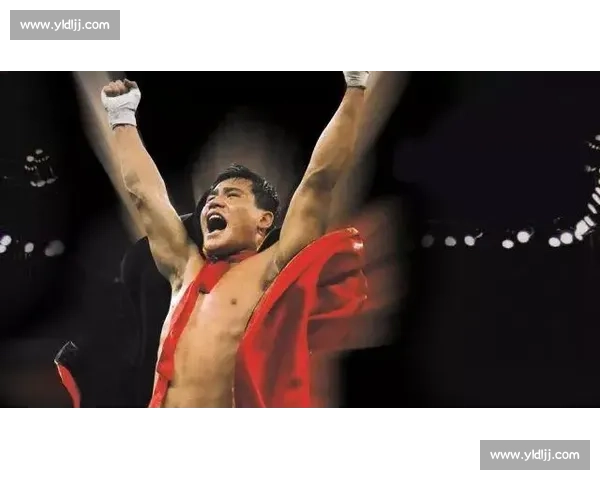 柳海龙对阵方便的一场中国搏击格局转折之战全纪录深度解析回顾史